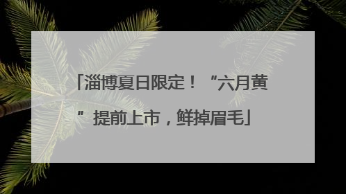 淄博夏日限定！“六月黄”提前上市，鲜掉眉毛