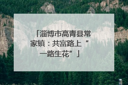 淄博市高青县常家镇：共富路上“一路生花”