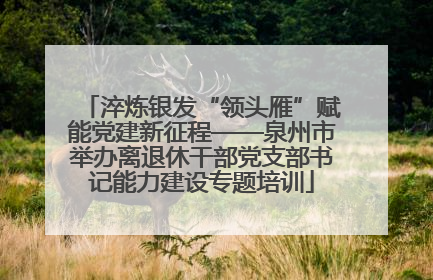 淬炼银发“领头雁”赋能党建新征程——泉州市举办离退休干部党支部书记能力建设专题培训