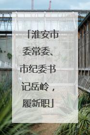淮安市委常委、市纪委书记岳岭，履新职