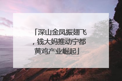 深山金凤振翅飞，钱大妈推动宁都黄鸡产业崛起
