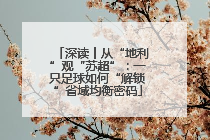 深读︱从“地利”观“苏超”：一只足球如何“解锁”省域均衡密码