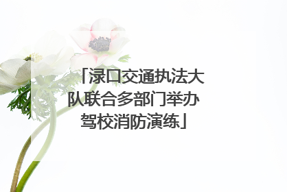 渌口交通执法大队联合多部门举办驾校消防演练