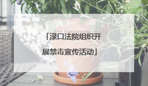 渌口法院组织开展禁毒宣传活动
