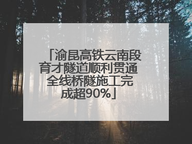 渝昆高铁云南段育才隧道顺利贯通 全线桥隧施工完成超90%
