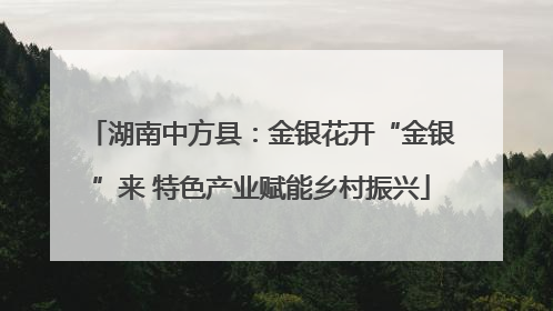 湖南中方县：金银花开“金银”来 特色产业赋能乡村振兴