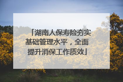 湖南人保寿险夯实基础管理水平，全面提升消保工作质效