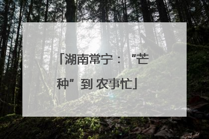 湖南常宁：“芒种”到 农事忙