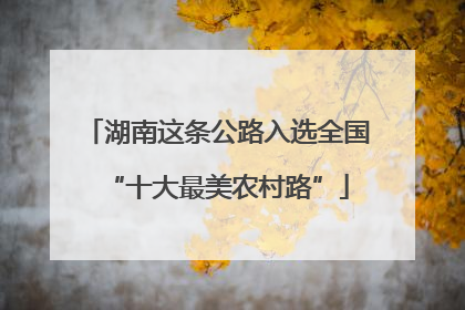 湖南这条公路入选全国“十大最美农村路”