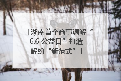 湖南首个商事调解“6.6 公益日”打造解纷“新范式”