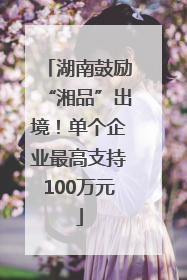 湖南鼓励“湘品”出境！单个企业最高支持100万元