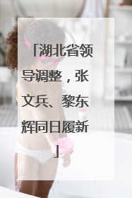湖北省领导调整，张文兵、黎东辉同日履新