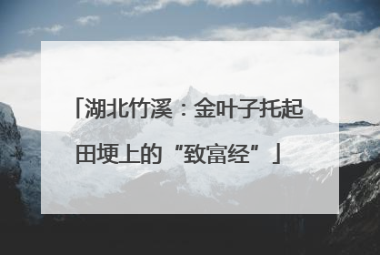湖北竹溪：金叶子托起田埂上的“致富经”