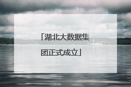 湖北大数据集团正式成立