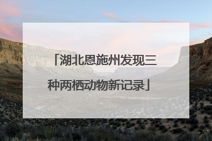 湖北恩施州发现三种两栖动物新记录