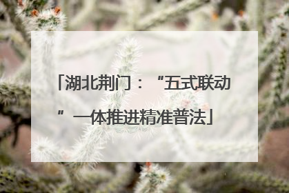 湖北荆门：“五式联动”一体推进精准普法