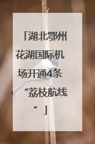 湖北鄂州花湖国际机场开通4条“荔枝航线”
