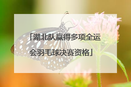 湖北队赢得多项全运会羽毛球决赛资格