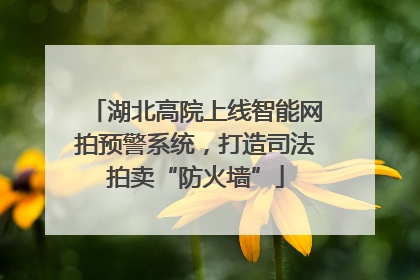湖北高院上线智能网拍预警系统，打造司法拍卖“防火墙”