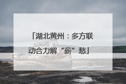 湖北黄州：多方联动合力解“薪”愁