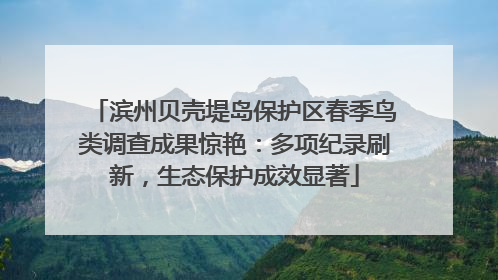 滨州贝壳堤岛保护区春季鸟类调查成果惊艳：多项纪录刷新，生态保护成效显著
