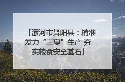 漯河市舞阳县：精准发力“三夏”生产 夯实粮食安全基石