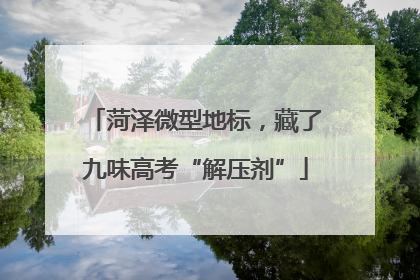 菏泽微型地标，藏了九味高考“解压剂”