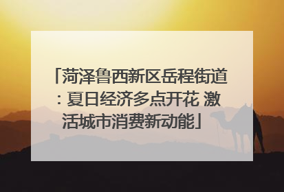 菏泽鲁西新区岳程街道：夏日经济多点开花 激活城市消费新动能