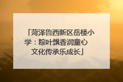 菏泽鲁西新区岳楼小学：粽叶飘香润童心 文化传承乐成长