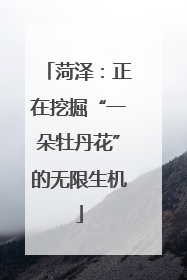 菏泽：正在挖掘“一朵牡丹花”的无限生机