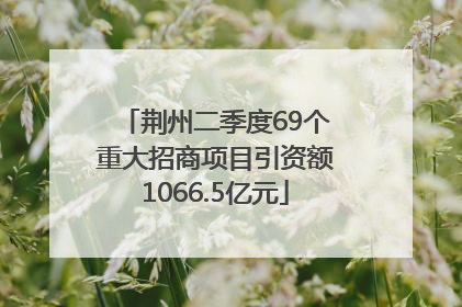 荆州二季度69个重大招商项目引资额1066.5亿元