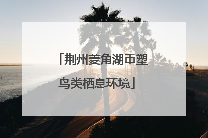 荆州菱角湖重塑鸟类栖息环境