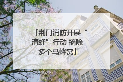荆门消防开展“清蜂”行动 摘除多个马蜂窝