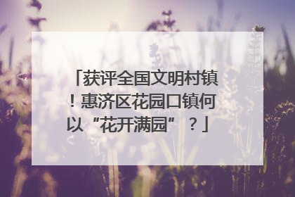 获评全国文明村镇！惠济区花园口镇何以“花开满园”？