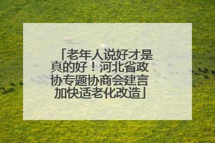 老年人说好才是真的好！河北省政协专题协商会建言加快适老化改造