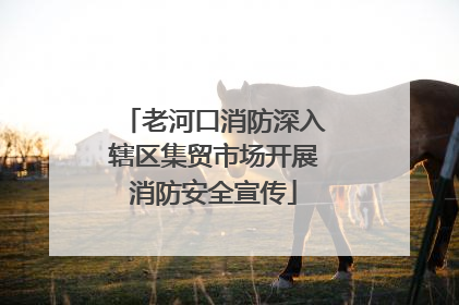 老河口消防深入辖区集贸市场开展消防安全宣传