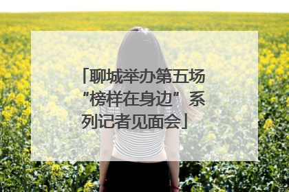 聊城举办第五场“榜样在身边”系列记者见面会