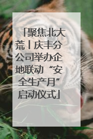 聚焦北大荒丨庆丰分公司举办企地联动“安全生产月”启动仪式