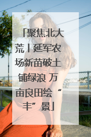 聚焦北大荒丨延军农场新苗破土铺绿浪 万亩良田绘“丰”景