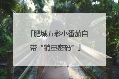 肥城五彩小番茄自带“销量密码”