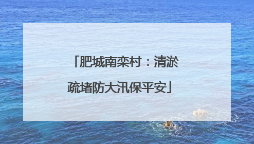 肥城南栾村：清淤疏堵防大汛保平安