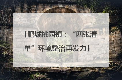 肥城桃园镇：“四张清单”环境整治再发力