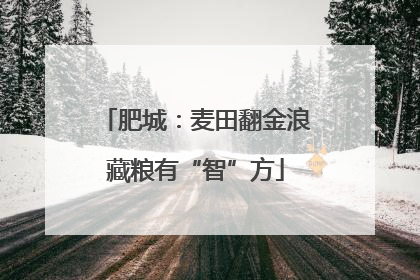 肥城：麦田翻金浪藏粮有“智”方