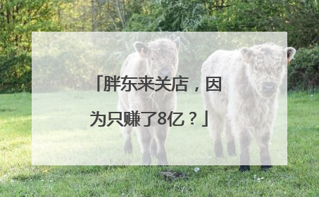 胖东来关店，因为只赚了8亿？