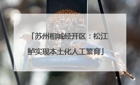 苏州相城经开区：松江鲈实现本土化人工繁育