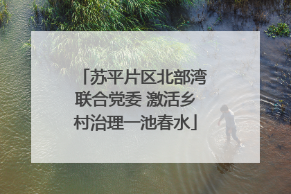苏平片区北部湾联合党委 激活乡村治理一池春水