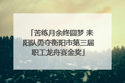 苦练月余终圆梦 耒阳队勇夺衡阳市第三届职工龙舟赛金奖