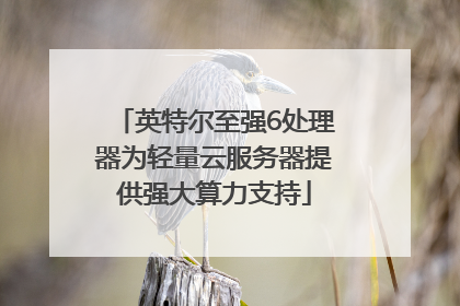 英特尔至强6处理器为轻量云服务器提供强大算力支持