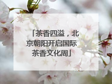茶香四溢，北京朝阳开启国际茶香文化周