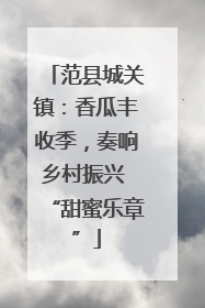 范县城关镇：香瓜丰收季，奏响乡村振兴 “甜蜜乐章”